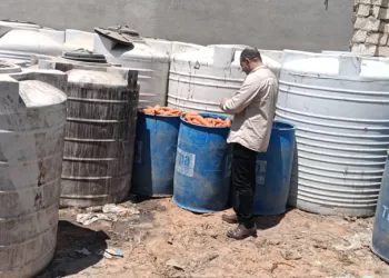 ضبط 20 طن مخللات غير صالحة للاستهلاك الآدمي بمخزن بالشرقية