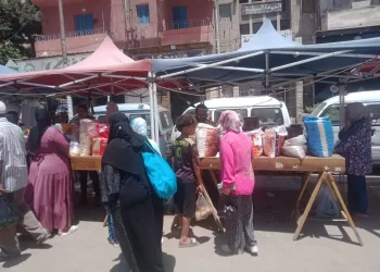 التوسع فى أسواق اليوم الواحد بالاسكندرية لتوفير السلع بأسعار مناسبة للمواطنين