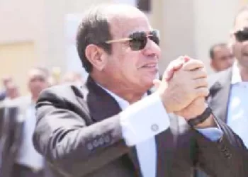 بين ثورتين.. تواصل وتكامل