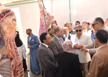 محافظ الدقهلية يفتتح مجزر أجا عقب تطويره بتكلفة 3 ملايين جنيه