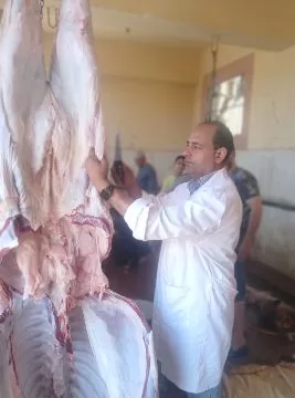 6 5 - جريدة الجمهورية