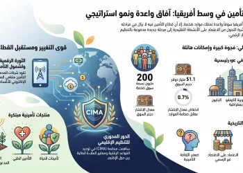 اتحاد التأمين المصري يرصد ملامح سوق واعدة في وسط أفريقيا خلال رئاسته لمنظمة التأمين الأفريقية