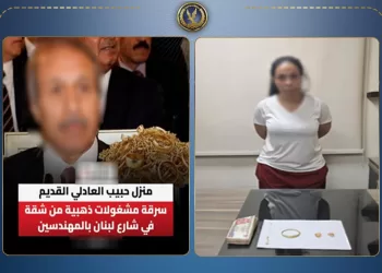 المباحث كشفت الجريمة خلال ساعات.. سيدة تقتحم مسكن وزير الداخلية السابق للسطو عليه 3 - جريدة الجمهورية المباحث كشفت الجريمة خلال ساعات.. سيدة تقتحم مسكن وزير الداخلية السابق للسطو عليه