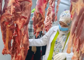 ضبط 29 طنًا من اللحوم والدواجن الفاسدة بالشرقية
