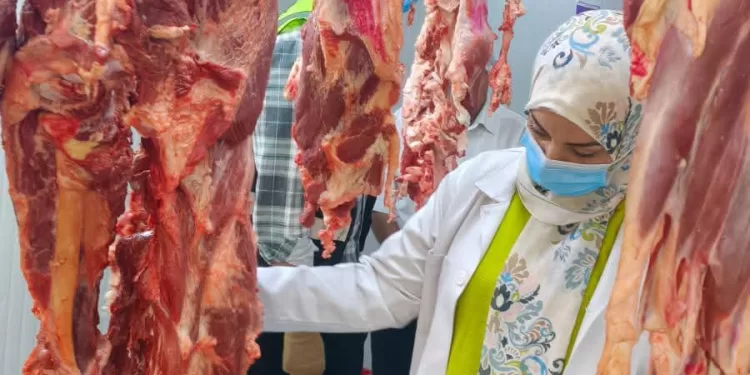 ضبط 29 طنًا من اللحوم والدواجن الفاسدة بالشرقية 1 - جريدة الجمهورية ضبط 29 طنًا من اللحوم والدواجن الفاسدة بالشرقية