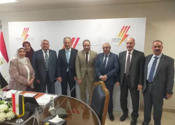 2.9 مليار جنيه لتطوير شبكات كهرباء محافظات مصر الوسطى الخمس
