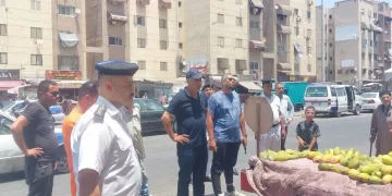 «الرصيف حق للمواطن».. أحياء بورسعيد تنتفض ضد الإشغالات والباعة الجائلين