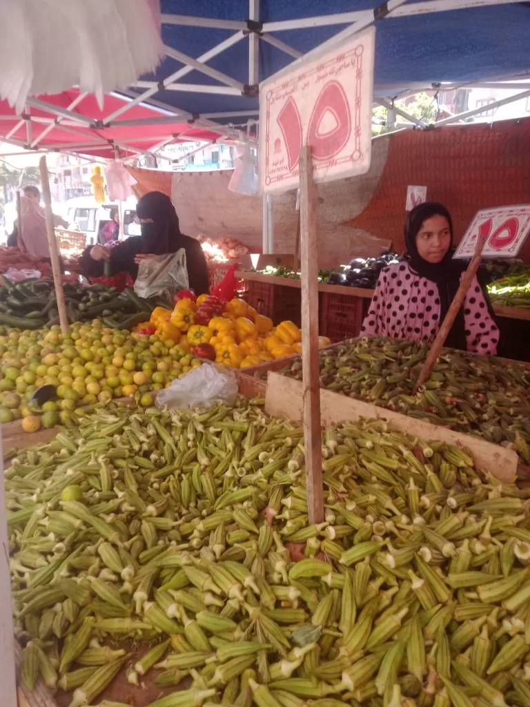 WhatsApp Image 2026 07 12 at 1.26.13 PM1 - جريدة الجمهورية
