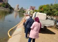 الشرقية تواصل تنمية الثروة السمكية بإنزال 400 ألف زريعة مبروك