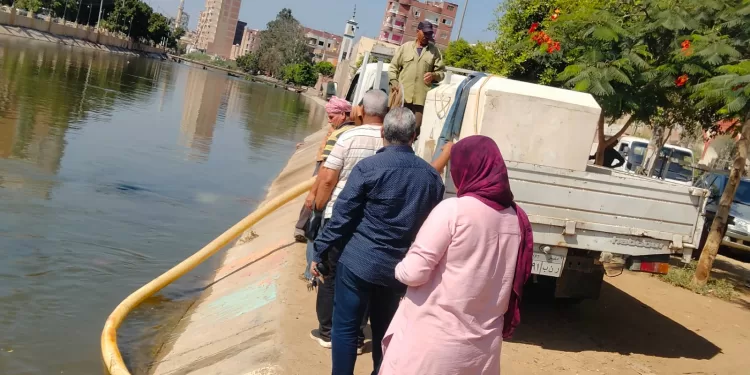 الشرقية تواصل تنمية الثروة السمكية بإنزال 400 ألف زريعة مبروك