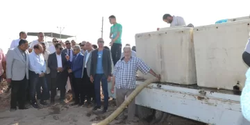 بني سويف تدعم المخزون السمكي باستزراع 250 ألف زريعة بلطي