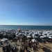 أمواج البشر ترسم لوحة فنية على شواطئ الإسكندرية فى جمعة البهجة الأسبوعية 5 - جريدة الجمهورية أمواج البشر ترسم لوحة فنية على شواطئ الإسكندرية فى جمعة البهجة الأسبوعية