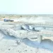 قرار مصيرى فى الأهلى