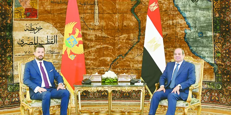 «الجبلاية» تترقب قرار زيادة أندية إفريقيا