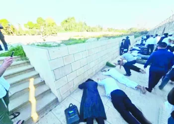 الاحتلال يستعد لأكبر اقتحام استيطانى للمسجد الأقصى 4 - جريدة الجمهورية «الجبلاية» تترقب قرار زيادة أندية إفريقيا