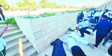 «الجبلاية» تترقب قرار زيادة أندية إفريقيا