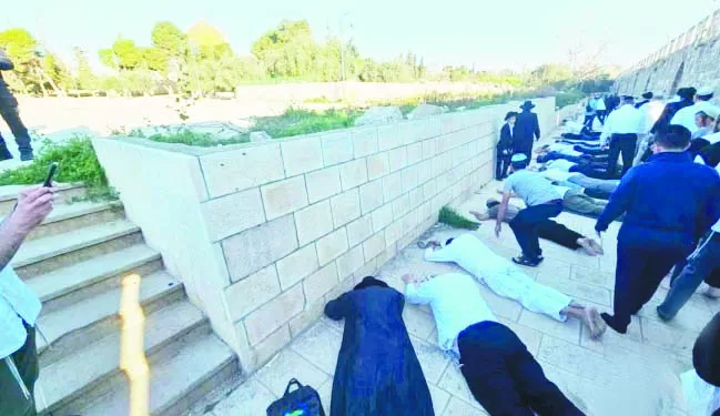 «الجبلاية» تترقب قرار زيادة أندية إفريقيا