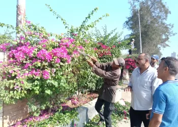 تكثيف أعمال التشجير والتجميل بشوارع وميادين الشرقية