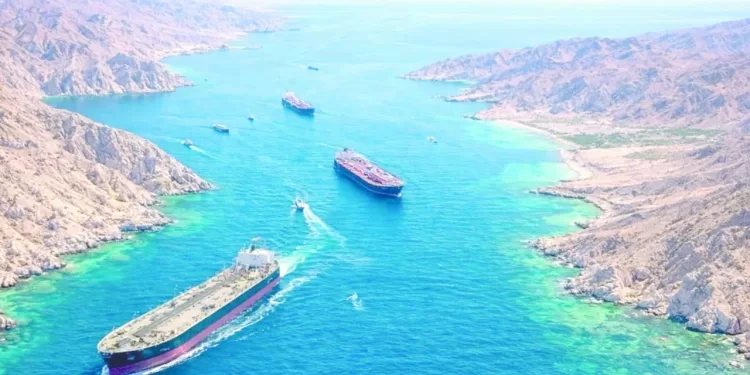 المدير الفنى.. صداع «زملكاوى»