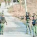 الضفة تشتعل 5 - جريدة الجمهورية المدير الفنى.. صداع «زملكاوى»