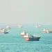 عندما تتحول المنصات الالكترونية إلى ساحات للتجنيد
