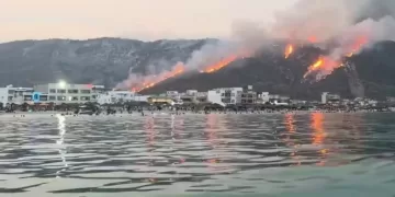 “رائد”: حرائق تونس والجزائر جرس إنذار لتصاعد المخاطر المناخية بالمتوسط