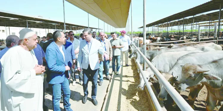 جهاز مستقبل مصر».. صندوق ثروة للتنمية