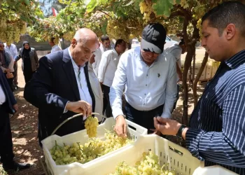 كدواني: دعم كامل للمستثمرين الجادين والزراعة بوابة لتوفير فرص العمل