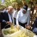 كدواني: دعم كامل للمستثمرين الجادين والزراعة بوابة لتوفير فرص العمل
