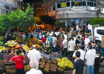 محافظ الإسكندرية يأمر بتوزيع الفاكهة المصادرة في حملة إزالة بالمنتزه على دور الرعاية والمستشفيات