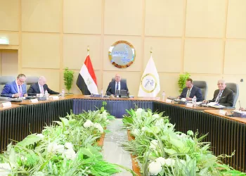 خطة للوصول بالأسطول التجارى المصرى إلى 40 سفينة