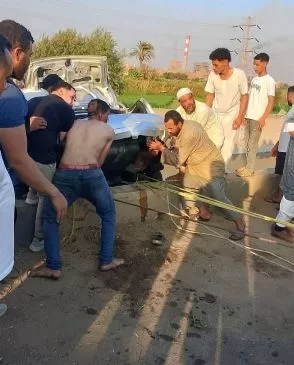 1 64 - جريدة الجمهورية