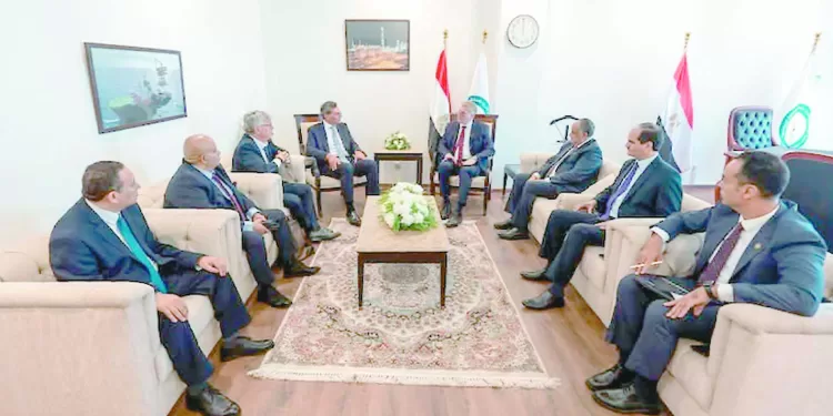 «إنرجين» تخطط لتوسيع استثماراتها فى مصر