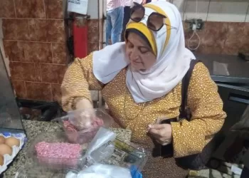 حملات مكبرة بالإسكندرية تتصدى للمخالفات الإشغالية وتغلق 124 منشأة مخالفة