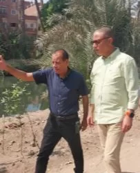 محافظ الجيزة يتفقد أعمال التشجير والتجميل بمركز أبو النمرس