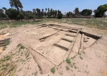 بتعاون مصري صيني.. الكشف عن بقايا مجمع سكني ومعصرة يُرجح استخدامها لإنتاج النبيذ ولقى أثرية متنوعة بميت رهينة