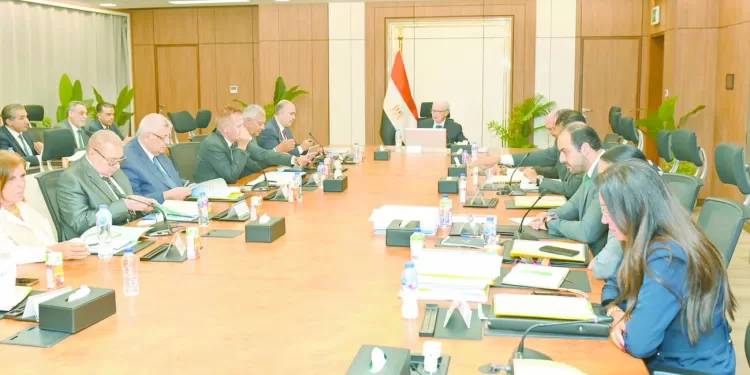 دعم الأمن الدوائى.. والتوسع فى التصدير