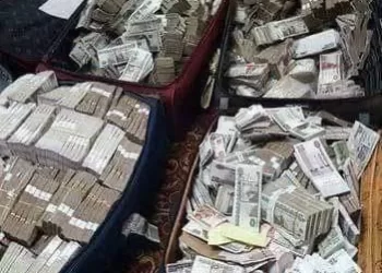 ضربات أمنية ناجحة «لمافيا الإجرام».. «ثلاثي الشر» حاولوا «غسل» 130 مليونًا من تجارة المخدرات والسلاح 3 - جريدة الجمهورية بعد الإطاحة بكوريا.. جوهر نبيل يهنئ «ناشئات اليد» بالتأهل التاريخي لربع نهائي المونديال
