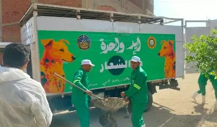 5 86 - جريدة الجمهورية