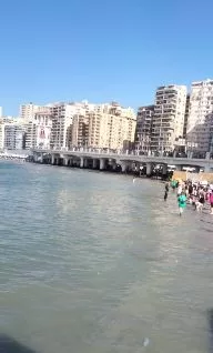 5 90 - جريدة الجمهورية