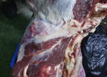محافظ أسيوط: ضبط 158 كجم لحوم غير صالحة بمنفلوط وديروط