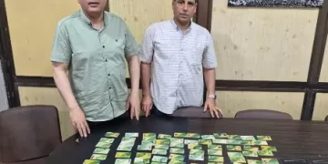 حملات رقابية مكثفة لتموين الدقهلية تسفر عن تحرير عشرات المخالفات وضبط سلع مجهولة المصدر