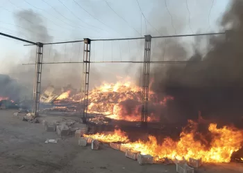 إصابة 14 عاملاً في حريق هائل بمحطة تصدير موالح بالشرقية