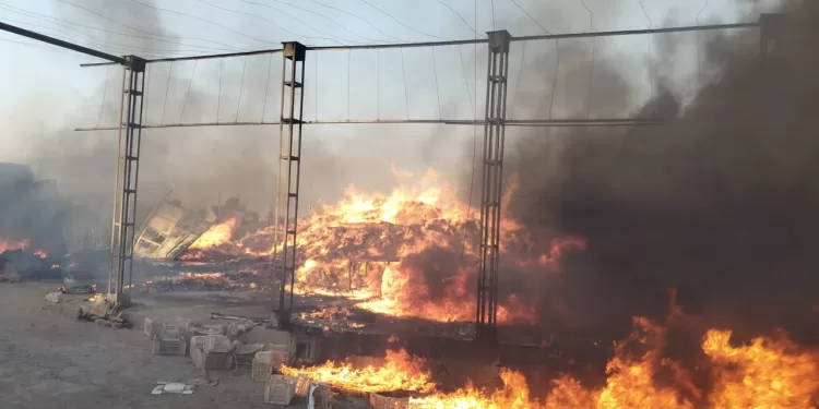 إصابة 14 عاملاً في حريق هائل بمحطة تصدير موالح بالشرقية