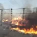إصابة 14 عاملاً في حريق هائل بمحطة تصدير موالح بالشرقية