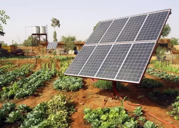 شمس الريف تضيء طريق المستقبل: من 1.5 إلى 4 ملايين فدان بحلول 2030.. كيف تحول الطاقة الشمسية الصحراء إلى سلة غذاء مصر؟