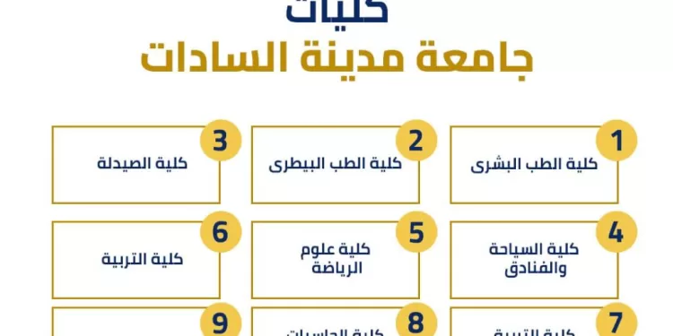 التعليم العالي تطلق إنفوجرافات تعريفية بكليات الجامعات الحكومية استعدادًا للتنسيق الإلكتروني