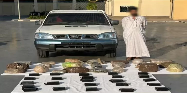 ضبط فتاة ادعت كذبًا التعرض للتحرش والتعدي من سائق نقل ذكي بالقاهرة