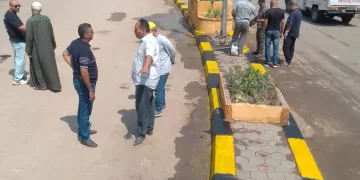 تطوير وتجميل ميدان «جزيرة محمد» بحي الوراق