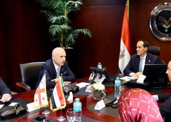 هيئة الاستثمار: فرص واعدة لتعزيز الشراكة الاقتصادية بين مصر وجورجيا